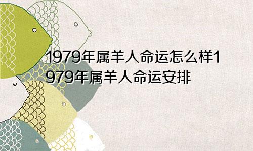 1979年属羊人命运怎么样1979年属羊人命运安排