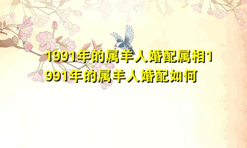 1991年的属羊人婚配属相1991年的属羊人婚配如何