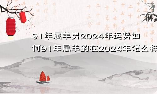 91年属羊男2024年运势如何91年属羊的在2024年怎么样