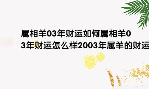 属相羊03年财运如何属相羊03年财运怎么样2003年属羊的财运