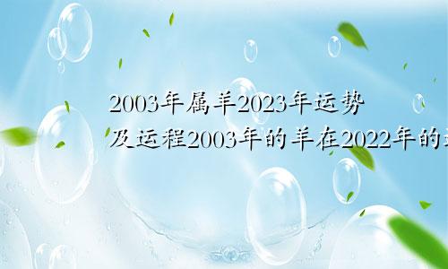 2003年属羊2023年运势及运程2003年的羊在2022年的运势