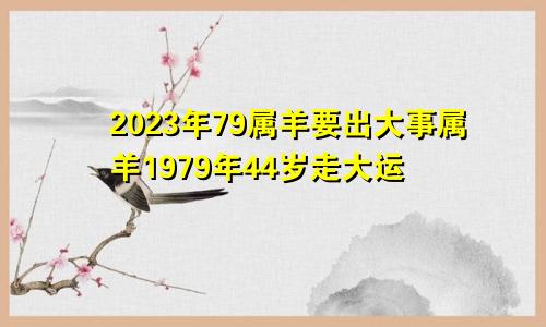 2023年79属羊要出大事属羊1979年44岁走大运