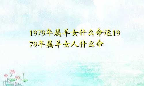 1979年属羊女什么命运1979年属羊女人什么命