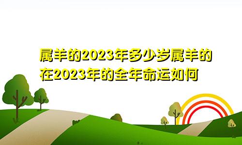 属羊的2023年多少岁属羊的在2023年的全年命运如何