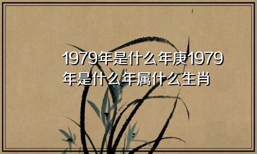 1979年是什么年庚1979年是什么年属什么生肖