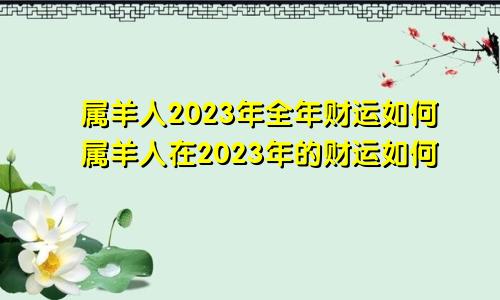 属羊人2023年全年财运如何属羊人在2023年的财运如何