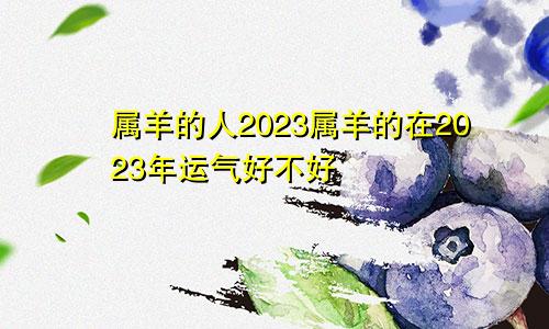 属羊的人2023属羊的在2023年运气好不好