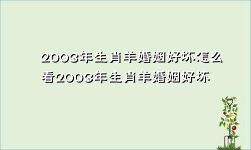 2003年生肖羊婚姻好坏怎么看2003年生肖羊婚姻好坏