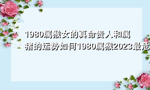 1980属猴女的真命贵人和属猪的运势如何1980属猴2023最危险的一个月