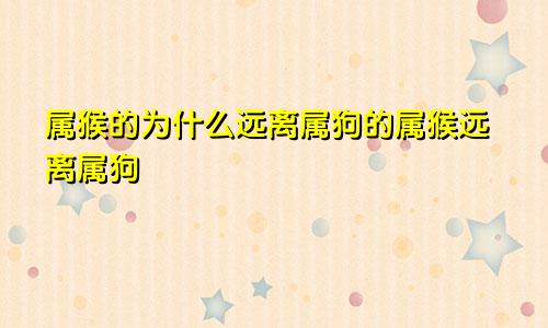 属猴的为什么远离属狗的属猴远离属狗