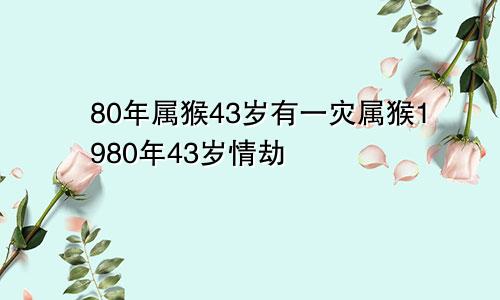 80年属猴43岁有一灾属猴1980年43岁情劫