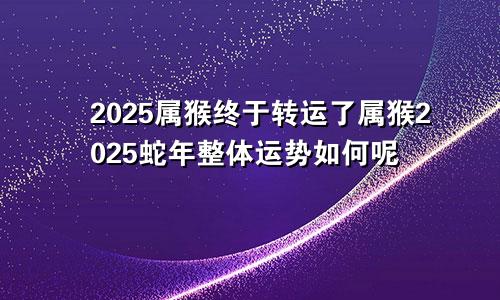 2025属猴终于转运了属猴2025蛇年整体运势如何呢