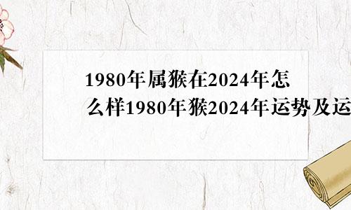 1980年属猴在2024年怎么样1980年猴2024年运势及运程