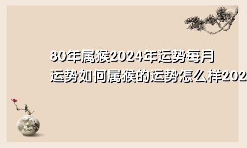 80年属猴2024年运势每月运势如何属猴的运势怎么样2023