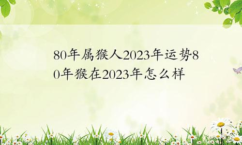 80年属猴人2023年运势80年猴在2023年怎么样