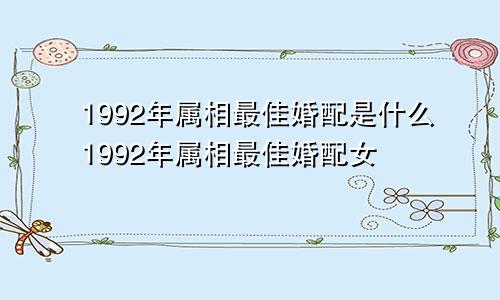 1992年属相最佳婚配是什么1992年属相最佳婚配女