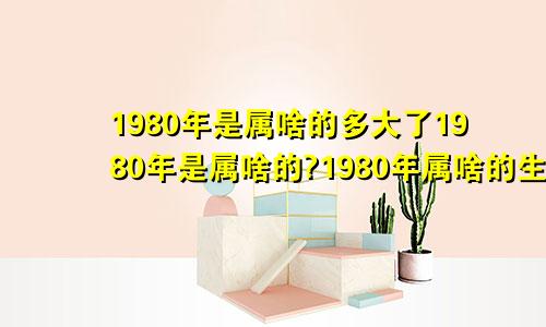 1980年是属啥的多大了1980年是属啥的?1980年属啥的生肖?