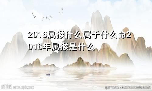 2016属猴什么属于什么命2016年属猴是什么