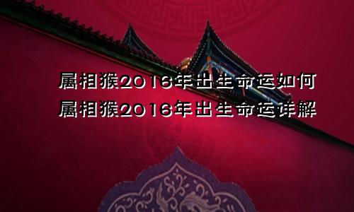 属相猴2016年出生命运如何属相猴2016年出生命运详解