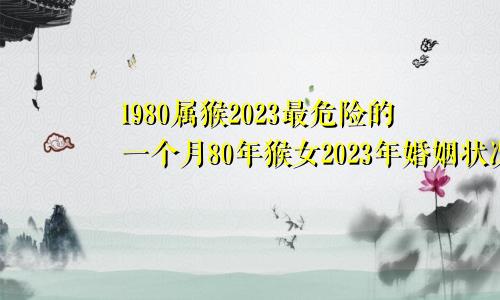 1980属猴2023最危险的一个月80年猴女2023年婚姻状况如何