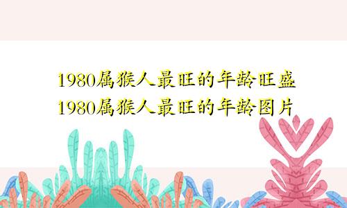 1980属猴人最旺的年龄旺盛1980属猴人最旺的年龄图片