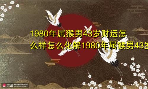 1980年属猴男43岁财运怎么样怎么化解1980年属猴男43岁财运怎么样呀