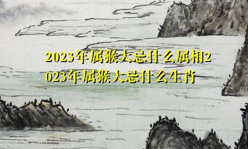 2023年属猴大忌什么属相2023年属猴大忌什么生肖