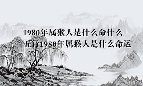 1980年属猴人是什么命什么五行1980年属猴人是什么命运