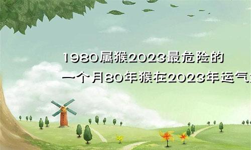 1980属猴2023最危险的一个月80年猴在2023年运气如何