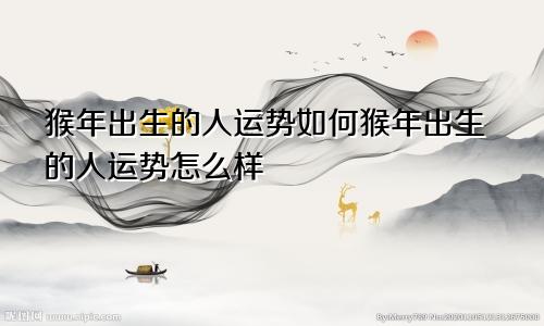 猴年出生的人运势如何猴年出生的人运势怎么样