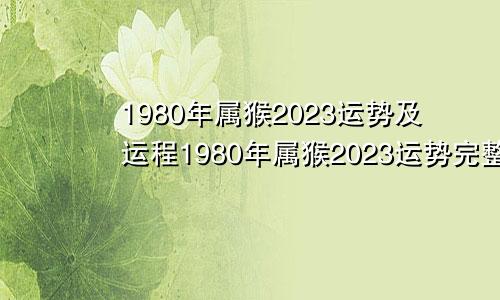 1980年属猴2023运势及运程1980年属猴2023运势完整版