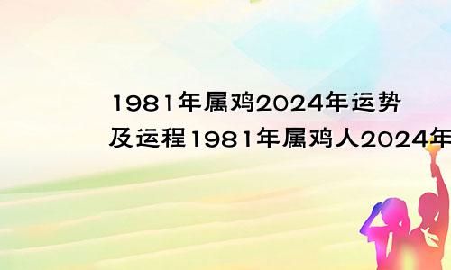 1981年属鸡2024年运势及运程1981年属鸡人2024年的命运