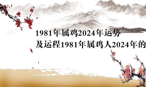 1981年属鸡2024年运势及运程1981年属鸡人2024年的命运