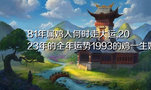 81年属鸡人何时走大运,2023年的全年运势1993的鸡一生婚姻状况