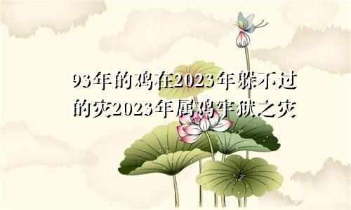 93年的鸡在2023年躲不过的灾2023年属鸡牢狱之灾