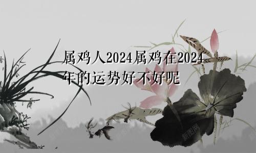 属鸡人2024属鸡在2024年的运势好不好呢