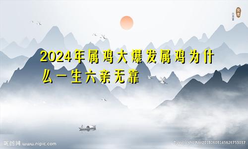 2024年属鸡大爆发属鸡为什么一生六亲无靠