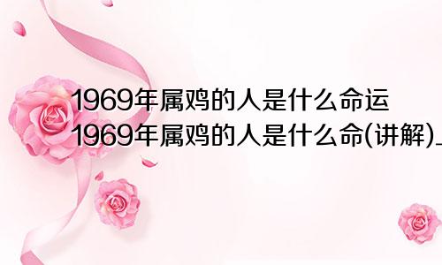 1969年属鸡的人是什么命运1969年属鸡的人是什么命(讲解)_万湖算命网