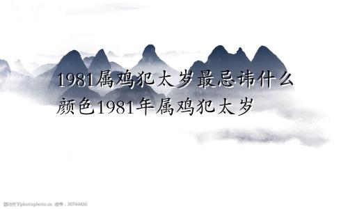 1981属鸡犯太岁最忌讳什么颜色1981年属鸡犯太岁