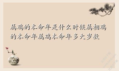 属鸡的本命年是什么时候属相鸡的本命年属鸡本命年多大岁数