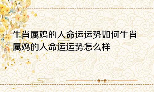 生肖属鸡的人命运运势如何生肖属鸡的人命运运势怎么样