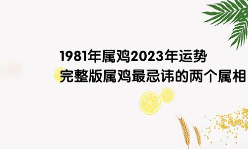 1981年属鸡2023年运势完整版属鸡最忌讳的两个属相