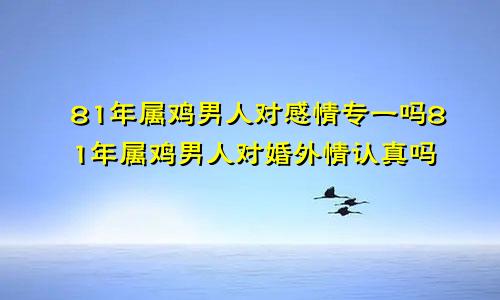 81年属鸡男人对感情专一吗81年属鸡男人对婚外情认真吗