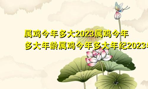 属鸡今年多大2023属鸡今年多大年龄属鸡今年多大年纪2023年