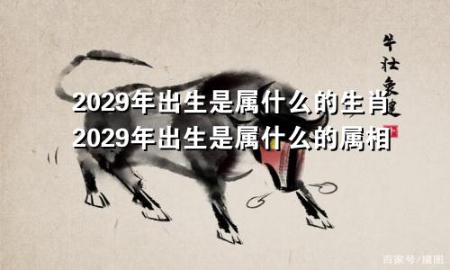 2029年出生是属什么的生肖2029年出生是属什么的属相