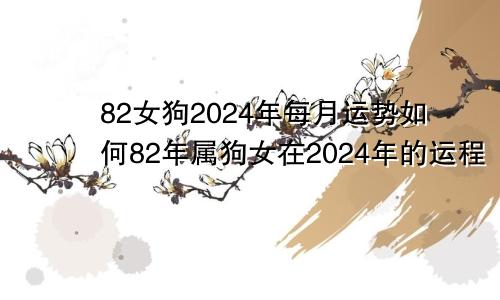 82女狗2024年每月运势如何82年属狗女在2024年的运程