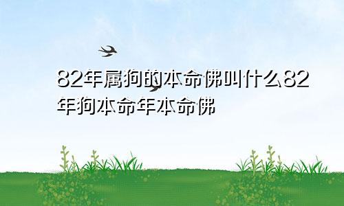 82年属狗的本命佛叫什么82年狗本命年本命佛