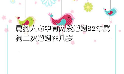 属狗人命中有两段婚姻82年属狗二次婚姻在几岁