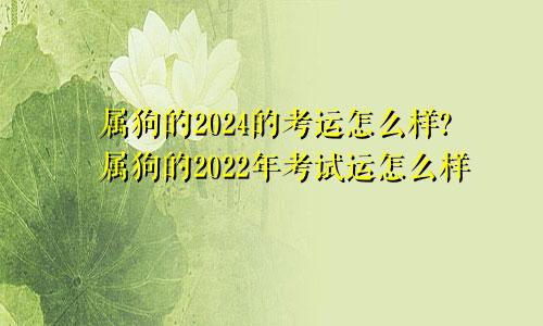 属狗的2024的考运怎么样?属狗的2022年考试运怎么样