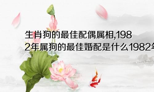 生肖狗的最佳配偶属相,1982年属狗的最佳婚配是什么1982年属狗的最佳配偶和什么属相最配